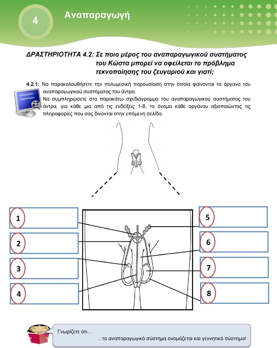 Να συμπληρώσετε στο παρακάτω σχεδιάγραμμα του αναπαραγωγικού συστήματος του άντρα, για κάθε μια από τις ενδείξεις 1-8, το όνομα κάθε οργάνου
