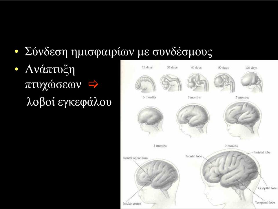 συνδέσµους