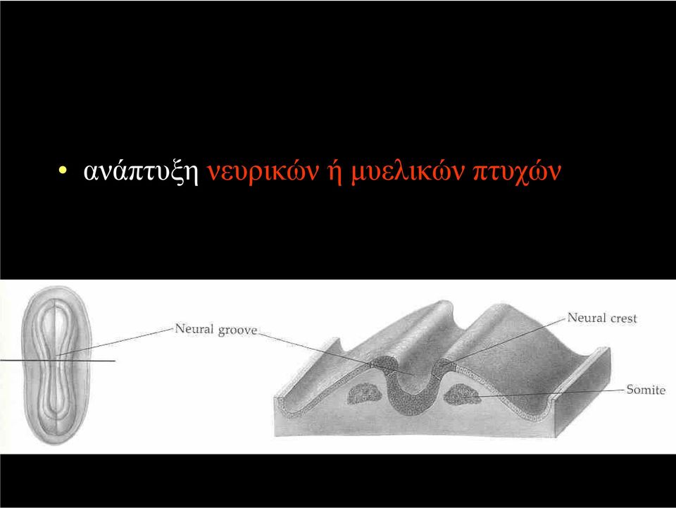 ή