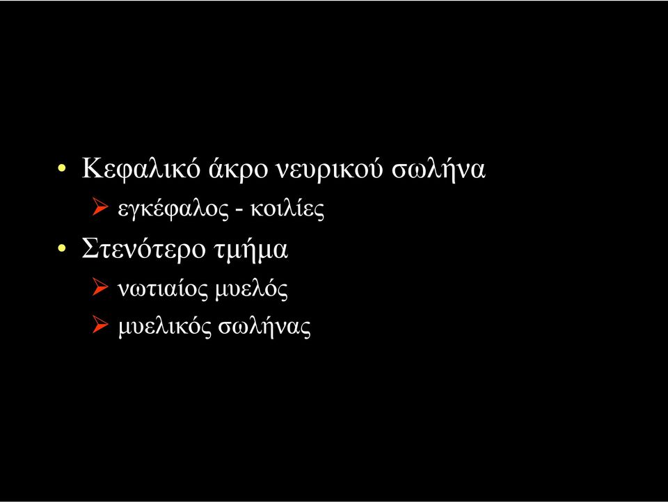 κοιλίες Στενότερο τµήµα