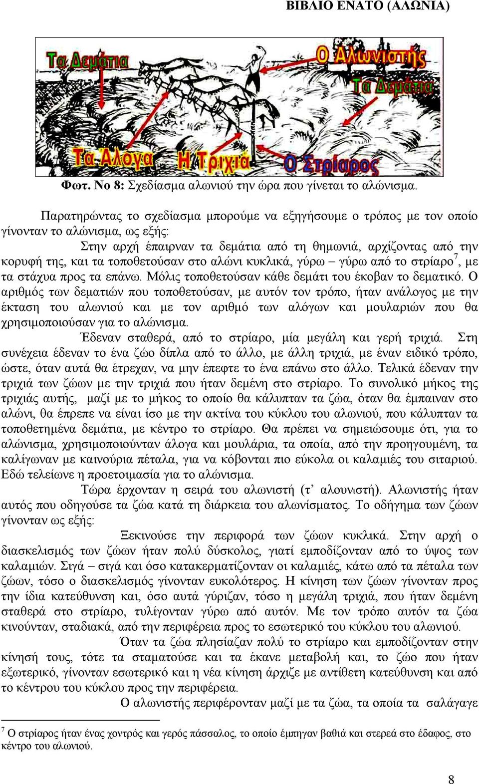 στο αλώνι κυκλικά, γύρω γύρω από το στρίαρο 7, µε τα στάχυα προς τα επάνω. Μόλις τοποθετούσαν κάθε δεµάτι του έκοβαν το δεµατικό.