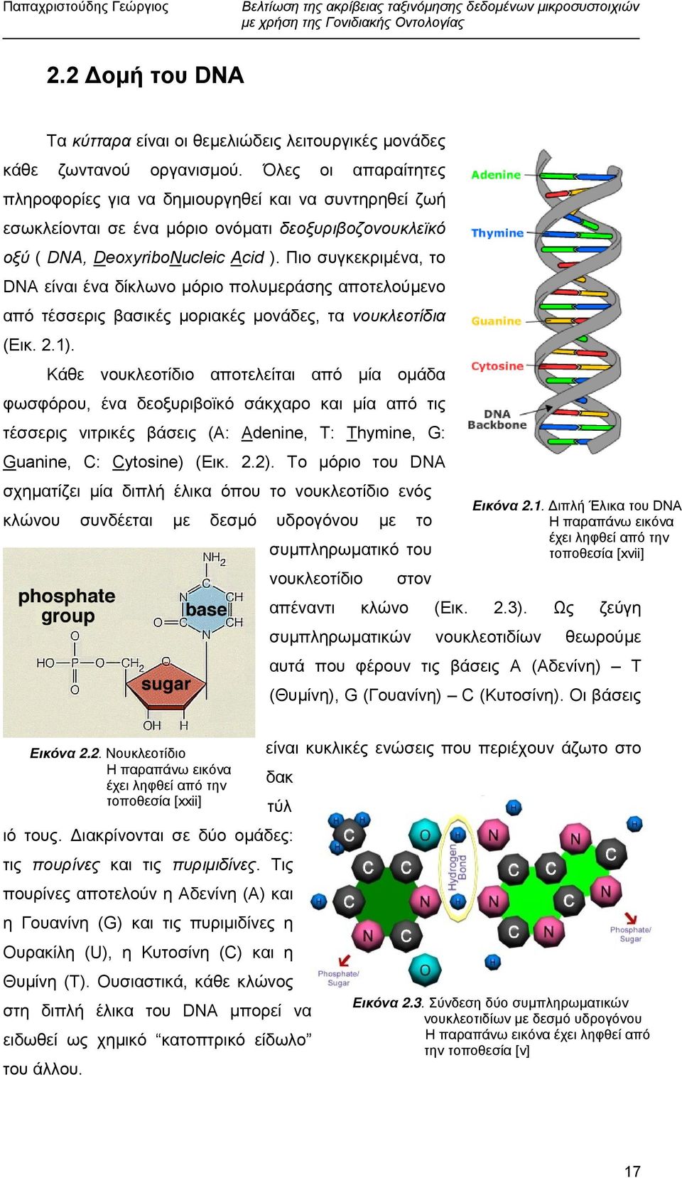 Πιο συγκεκριµένα, το DNA είναι ένα δίκλωνο µόριο πολυµεράσης αποτελούµενο από τέσσερις βασικές µοριακές µονάδες, τα νουκλεοτίδια (Εικ. 2.1).