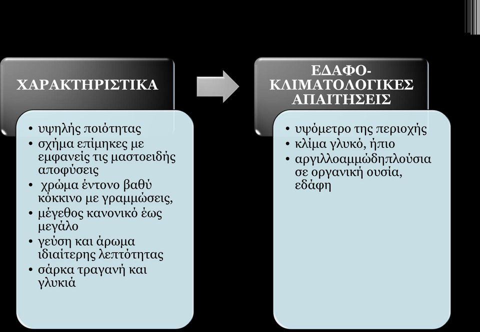 άρωμα ιδιαίτερης λεπτότητας σάρκα τραγανή και γλυκιά ΕΔΑΦΟ- ΚΛΙΜΑΤΟΛΟΓΙΚΕΣ