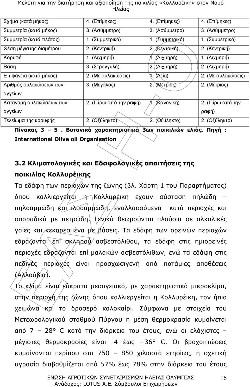 (Αιχμηρή) Επιφάνεια (κατά μήκος) 2. (Με αυλακώσεις) 1. (Λεία) 2. (Με αυλακώσεις) Αριθμός αυλακώσεων των αγγείων Κατανομή αυλακώσεων των αγγείων 3. (Μεγάλος) 2. (Μέτριος) 2. (Μέτριος) 2. (Γύρω από την ραφή) 1.