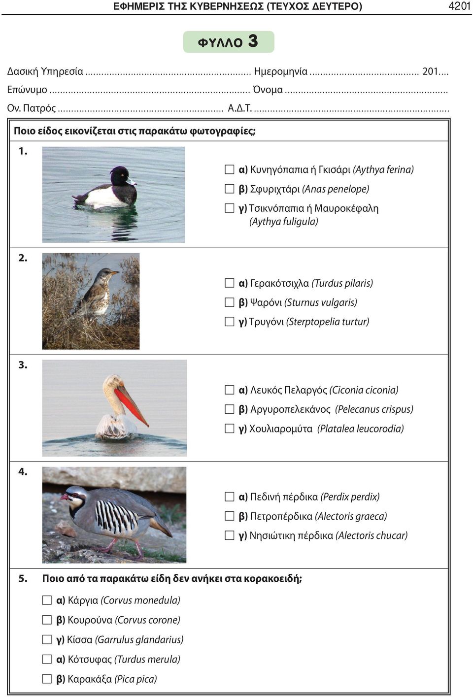 α) Γερακότσιχλα (Turdus pilaris) β) Ψαρόνι (Sturnus vulgaris) γ) Τρυγόνι (Sterptopelia turtur) 3.