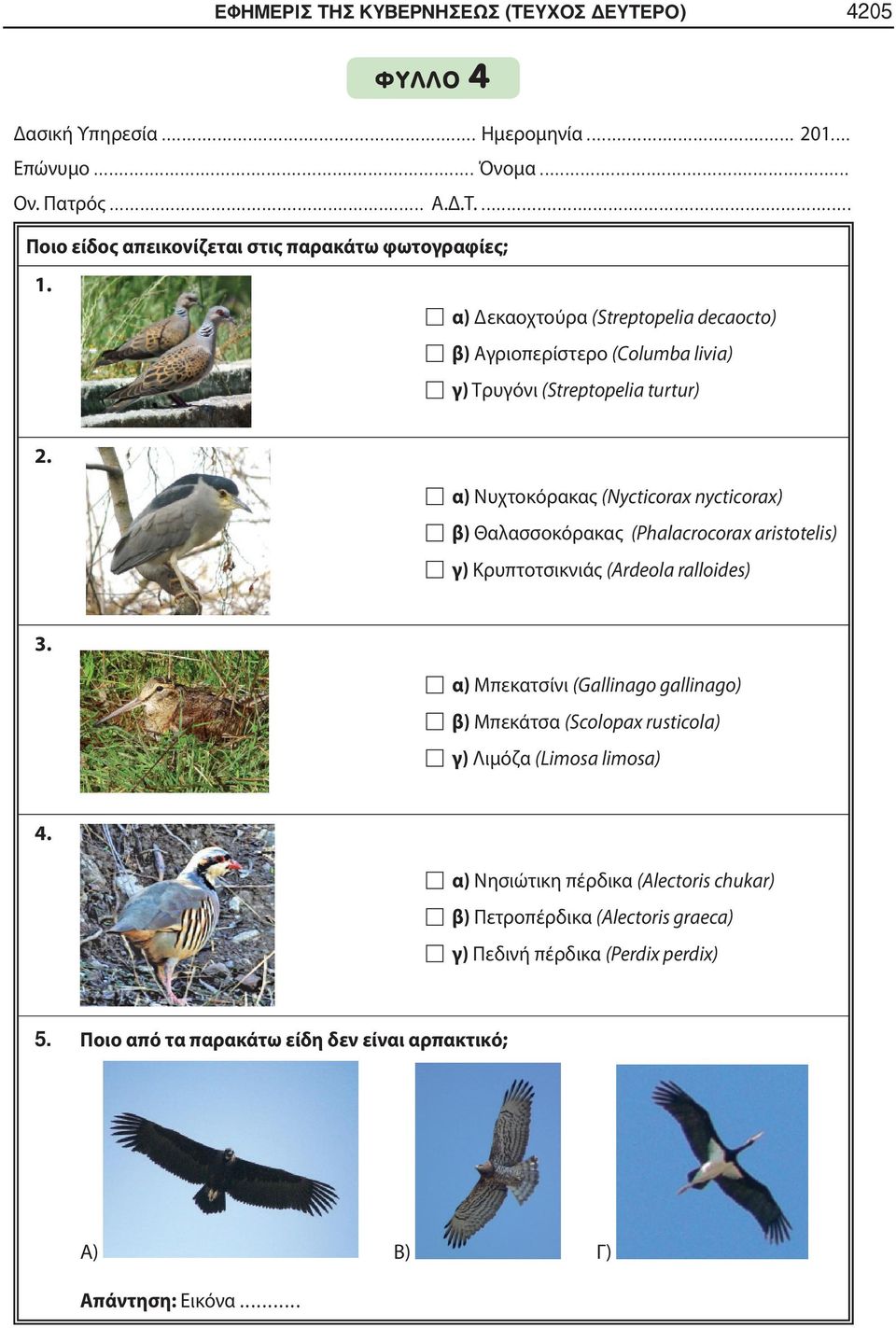 α) Νυχτοκόρακας (Nycticorax nycticorax) β) Θαλασσοκόρακας (Phalacrocorax aristotelis) γ) Κρυπτοτσικνιάς (Ardeola ralloides) 3.