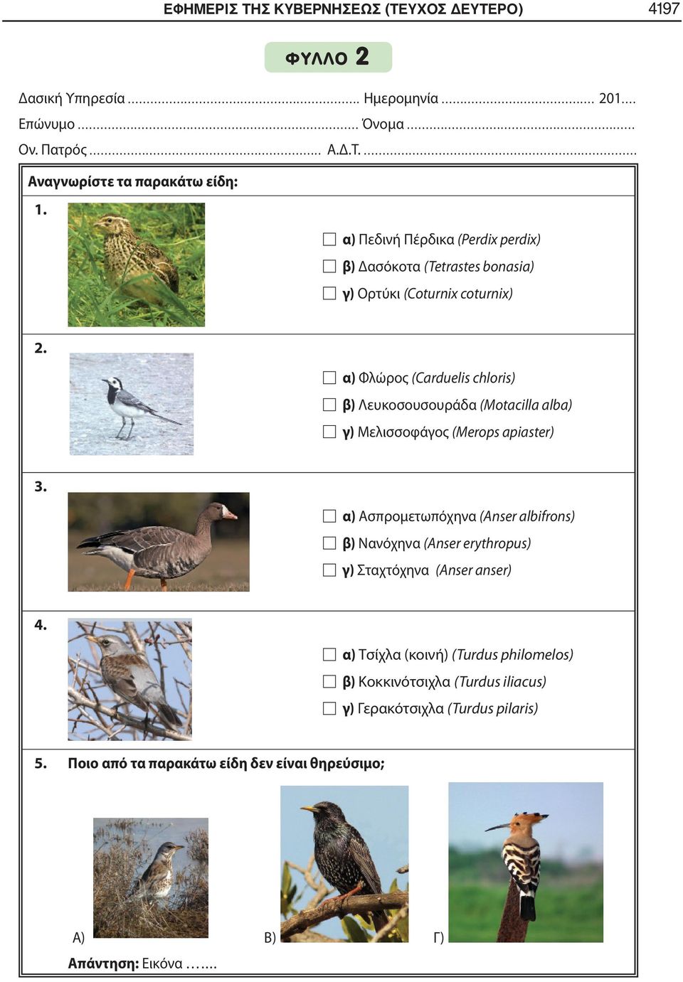 α) Φλώρος (Carduelis chloris) β) Λευκοσουσουράδα (Motacilla alba) γ) Μελισσοφάγος (Merops apiaster) 3.