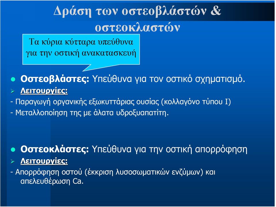 Λειτουργίες: - Παραγωγή οργανικής εξωκυττάριας ουσίας (κολλαγόνο τύπου Ι) - Μεταλλοποίηση της με