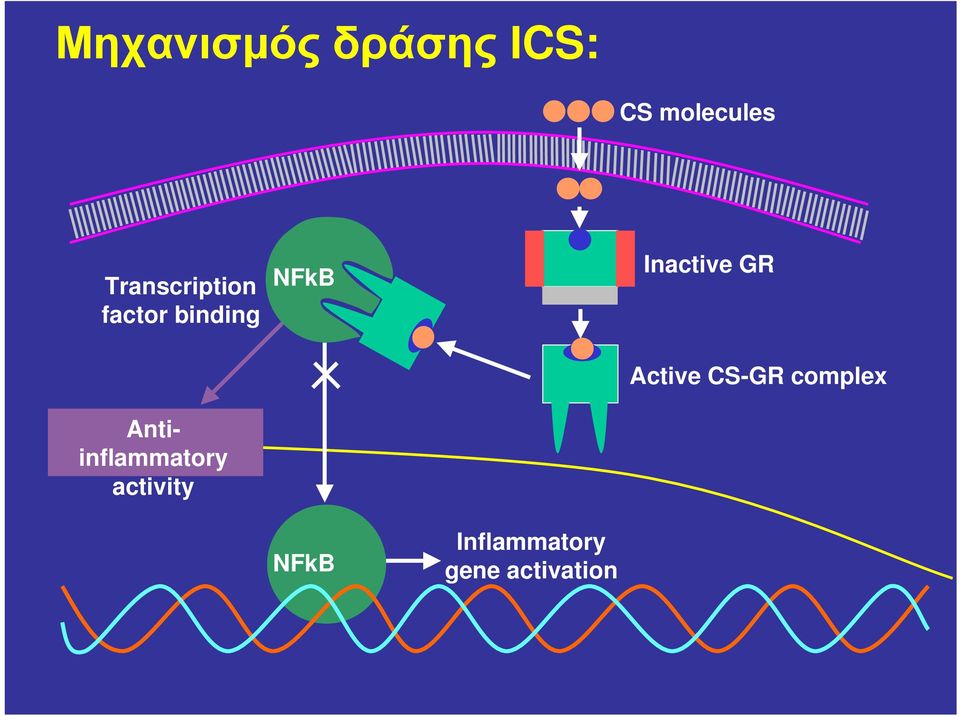 Inactive GR Antiinflammatory activity