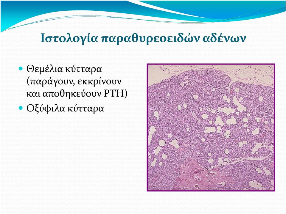 (παράγουν, εκκρίνουν και