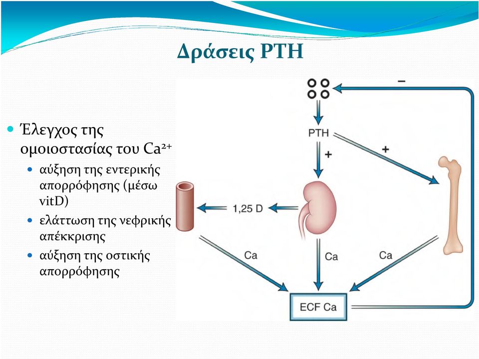 απορρόφησης (μέσω vitd) ελάττωση της