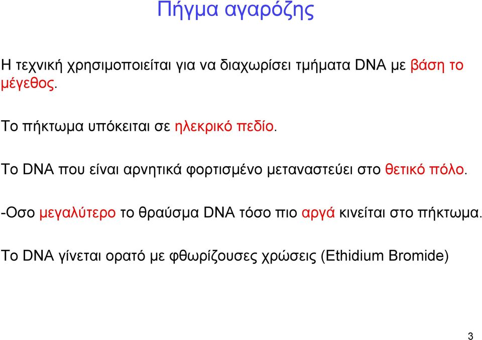 Το DNA που είναι αρνητικά φορτισμένο μεταναστεύει στο θετικό πόλο.