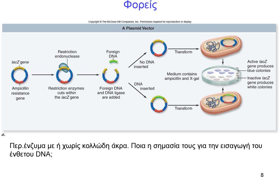 κολλώδη άκρα.