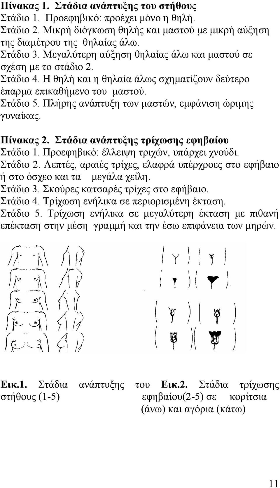 Πλήρης ανάπτυξη των µαστών, εµφάνιση ώριµης γυναίκας. Πίνακας 2. Στάδια ανάπτυξης τρίχωσης εφηβαίου Στάδιο 1. Προεφηβικό: έλλειψη τριχών, υπάρχει χνούδι. Στάδιο 2.