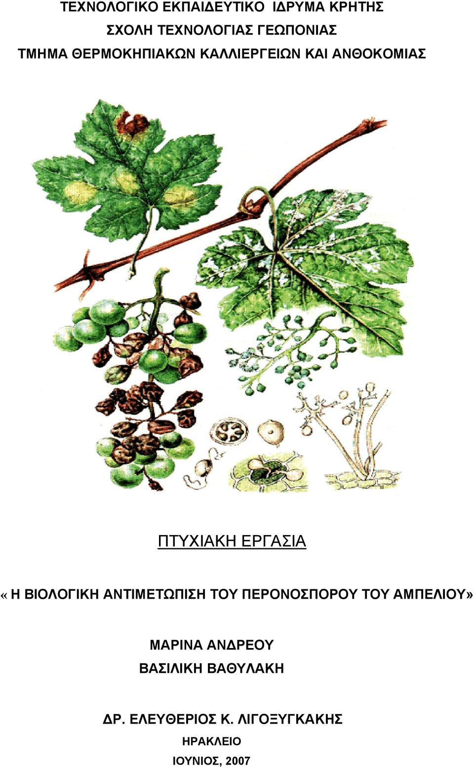 ΒΙΟΛΟΓΙΚΗ ΑΝΤΙΜΕΤΩΠΙΣΗ ΤΟΥ ΠΕΡΟΝΟΣΠΟΡΟΥ ΤΟΥ ΑΜΠΕΛΙΟΥ» ΜΑΡΙΝΑ ΑΝΔΡΕΟΥ