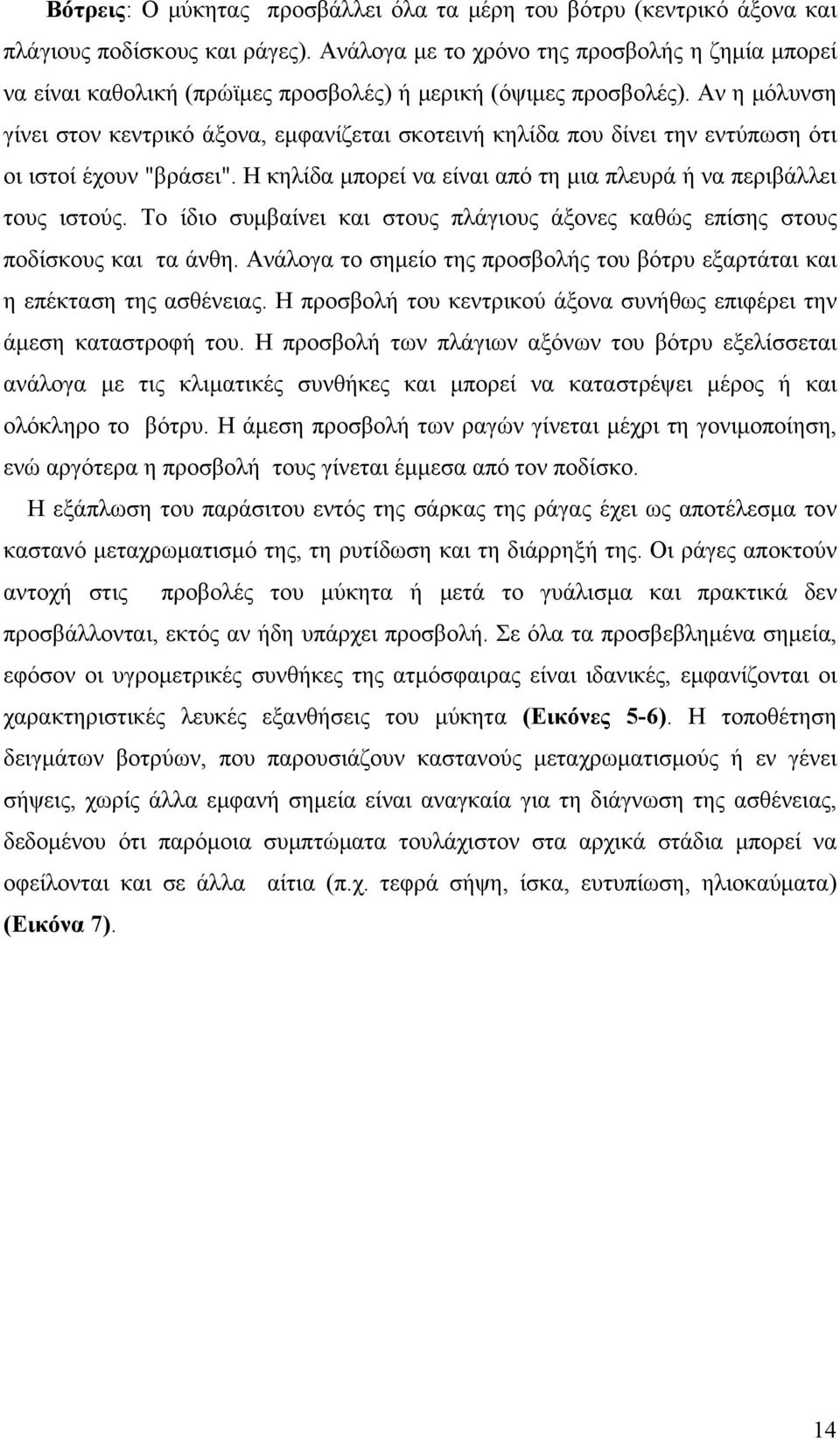 Αν η μόλυνση γίνει στον κεντρικό άξονα, εμφανίζεται σκοτεινή κηλίδα που δίνει την εντύπωση ότι οι ιστοί έχουν "βράσει". Η κηλίδα μπορεί να είναι από τη μια πλευρά ή να περιβάλλει τους ιστούς.