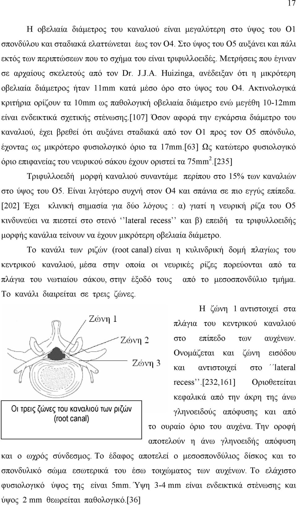 Huizinga, ανέδειξαν ότι η μικρότερη οβελιαία διάμετρος ήταν 11mm κατά μέσο όρο στο ύψος του Ο4.