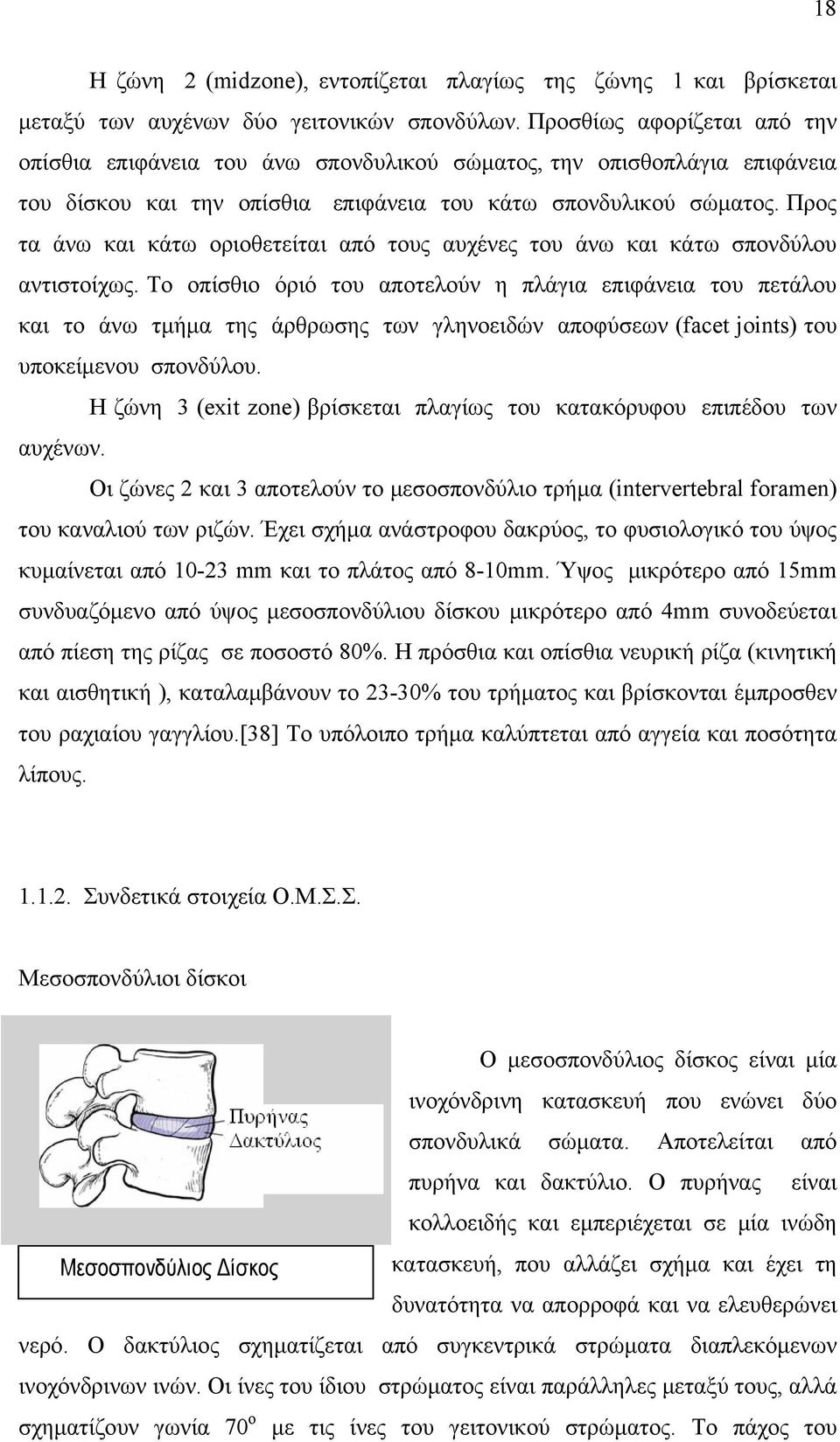 Προς τα άνω και κάτω οριοθετείται από τους αυχένες του άνω και κάτω σπονδύλου αντιστοίχως.