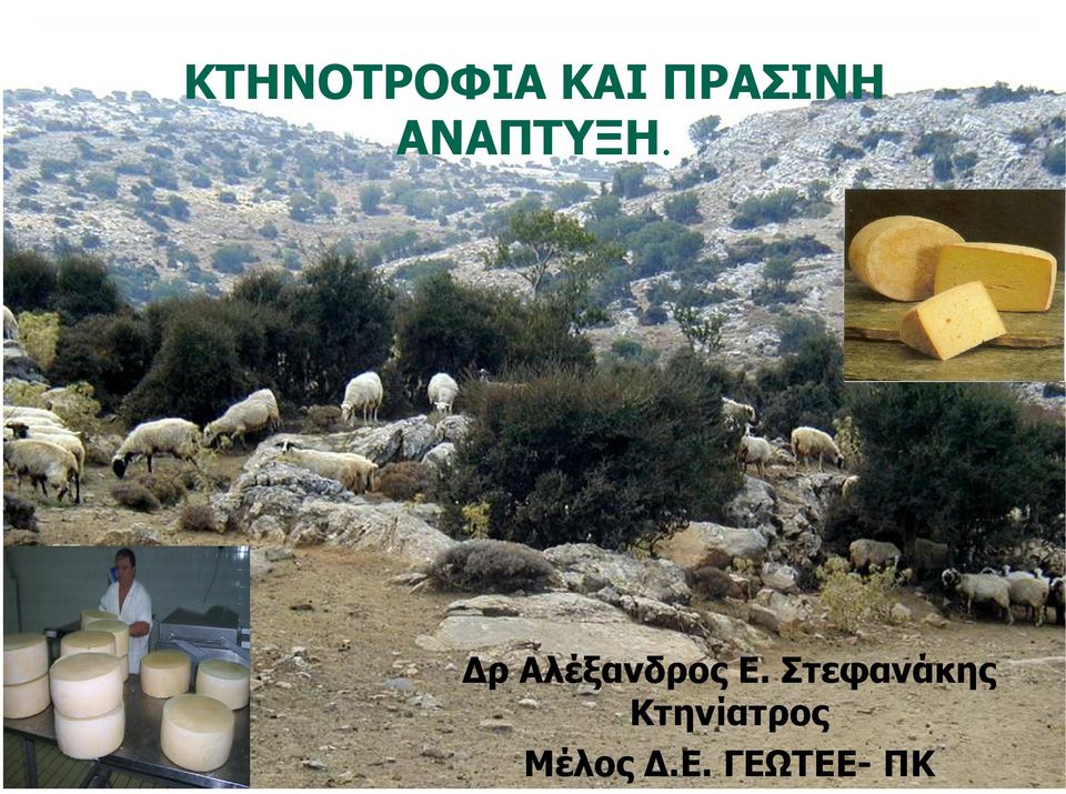 ρ Αλέξανδρος Ε.