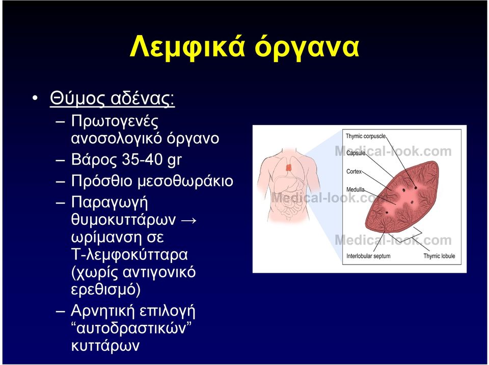 θυμοκυττάρων ωρίμανση σε Τ-λεμφοκύτταρα (χωρίς