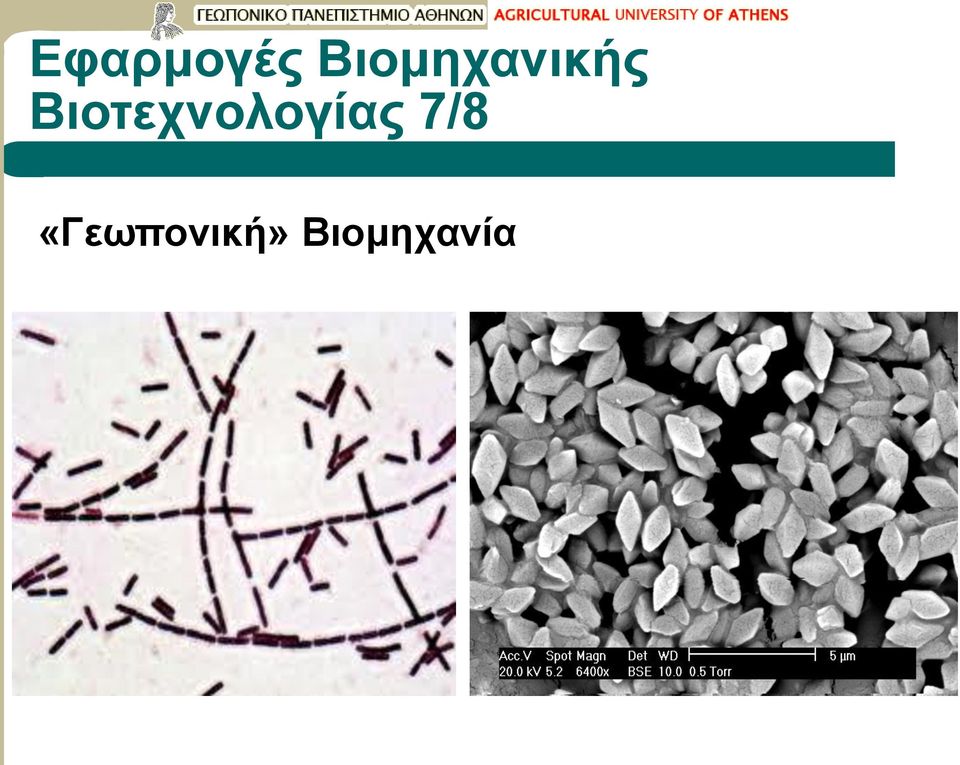 Βιοτεχνολογίας