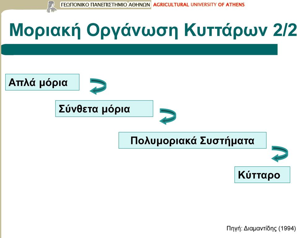 μόρια Πολυμοριακά Συστήματα