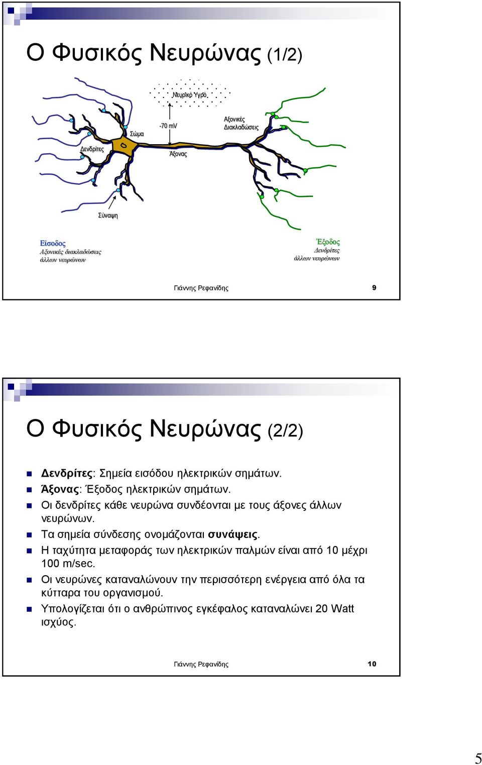 Οι δενδρίτες κάθε νευρώνα συνδέονται με τους άξονες άλλων νευρώνων. Τα σημεία σύνδεσης ονομάζονται συνάψεις.