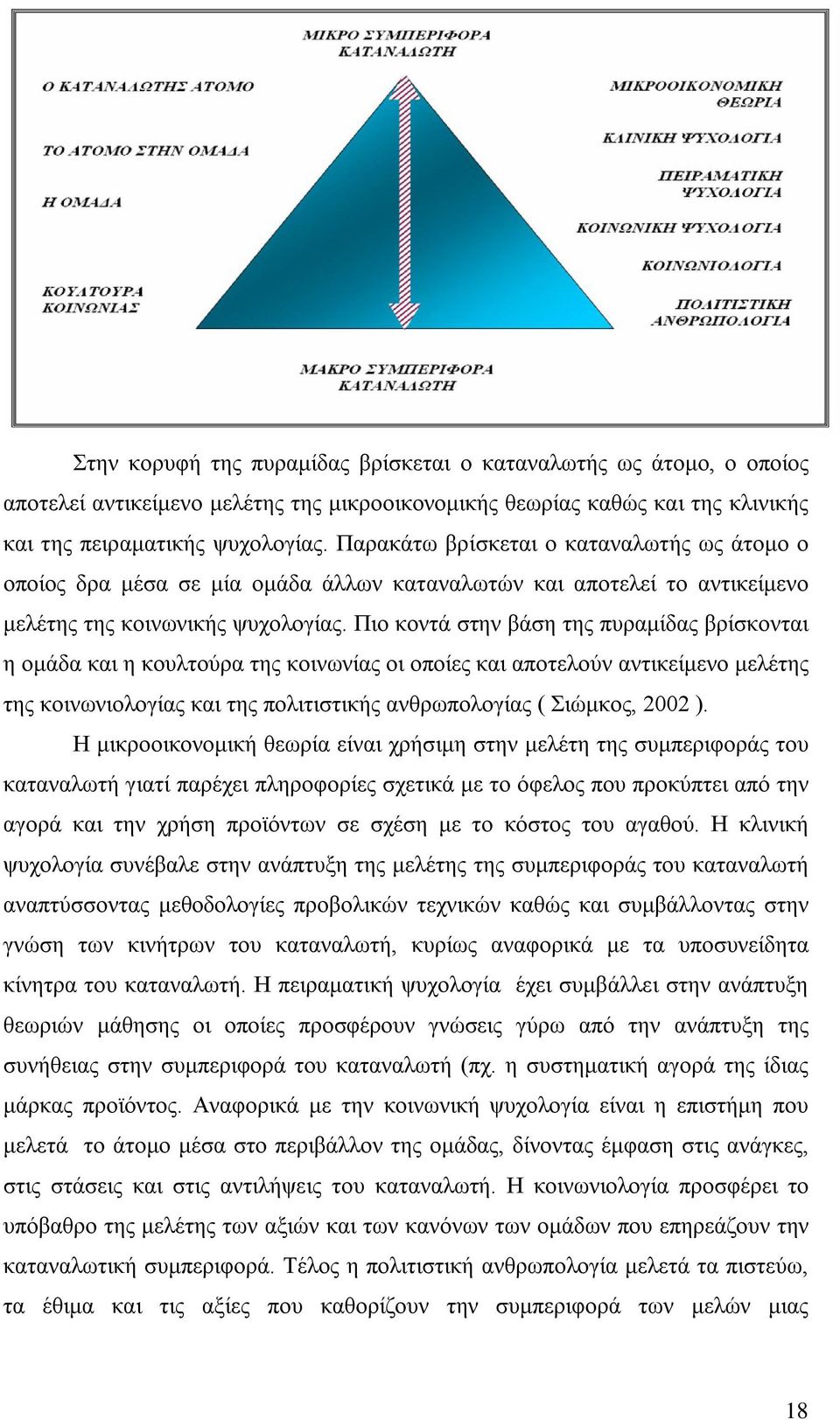 Πιο κοντά στην βάση της πυραμίδας βρίσκονται η ομάδα και η κουλτούρα της κοινωνίας οι οποίες και αποτελούν αντικείμενο μελέτης της κοινωνιολογίας και της πολιτιστικής ανθρωπολογίας ( Σιώμκος, 2002 ).