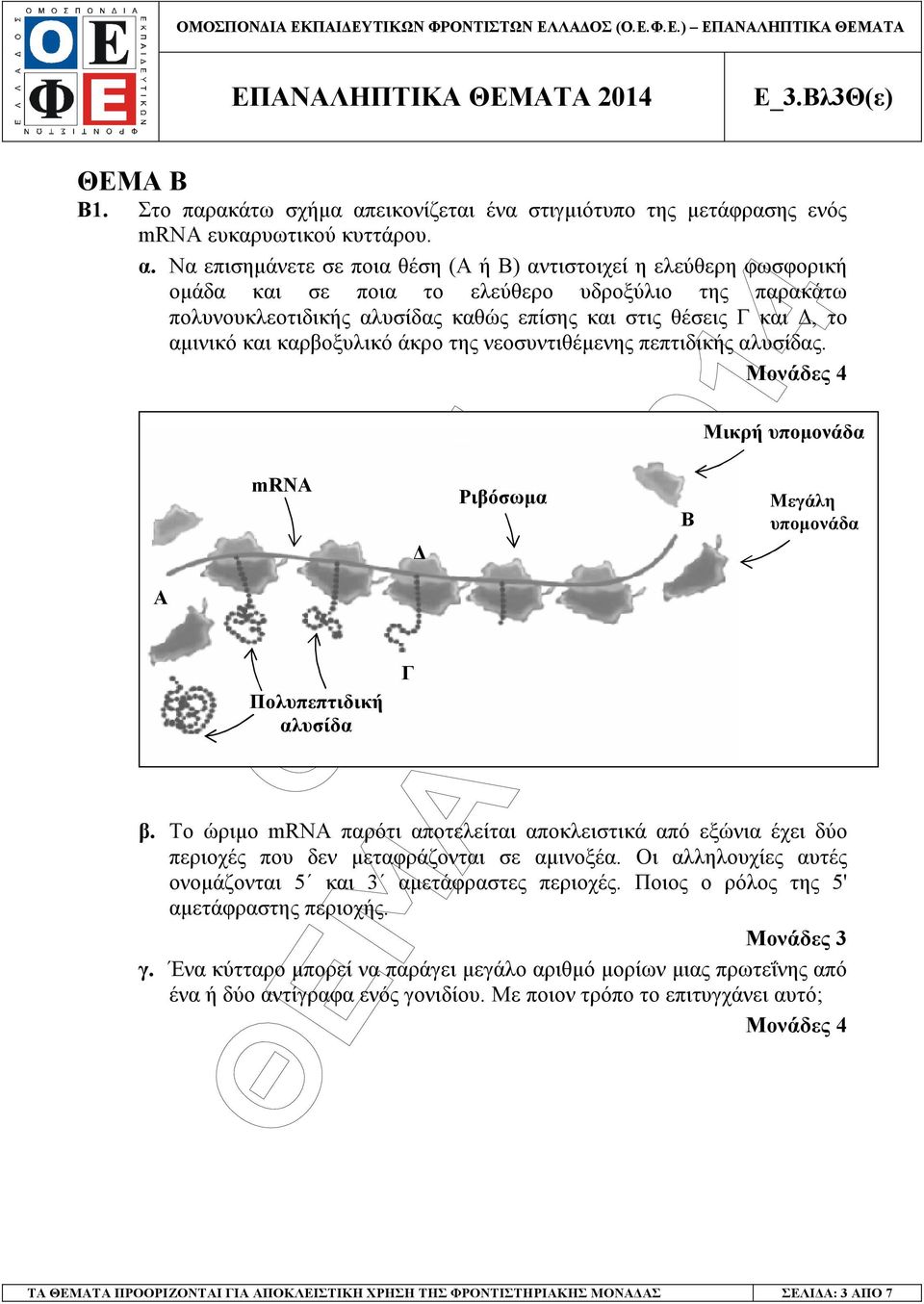 Να επισηµάνετε σε ποια θέση (Α ή Β) αντιστοιχεί η ελεύθερη φωσφορική οµάδα και σε ποια το ελεύθερο υδροξύλιο της παρακάτω πολυνουκλεοτιδικής αλυσίδας καθώς επίσης και στις θέσεις Γ και, το αµινικό