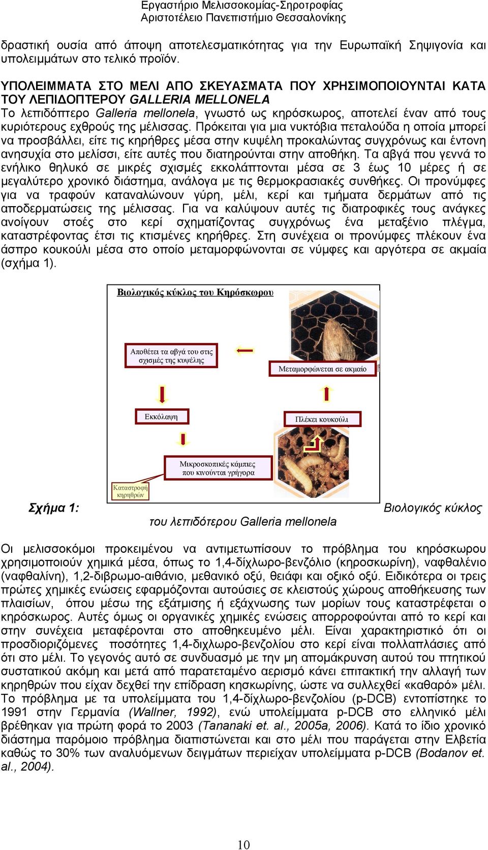 της μέλισσας.