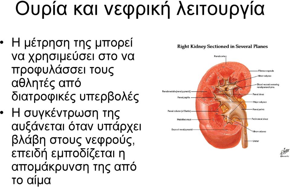 διατροφικές υπερβολές Η συγκέντρωση της αυξάνεται όταν