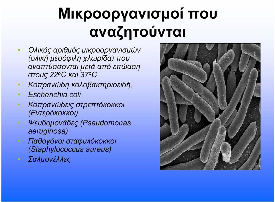 κολοβακτηριοειδή, Escherichia coli Κοπρανώδεις στρεπτόκοκκοι (Εντερόκοκκοι)