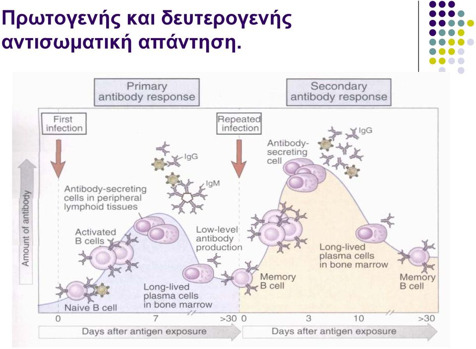 δευτερογενής