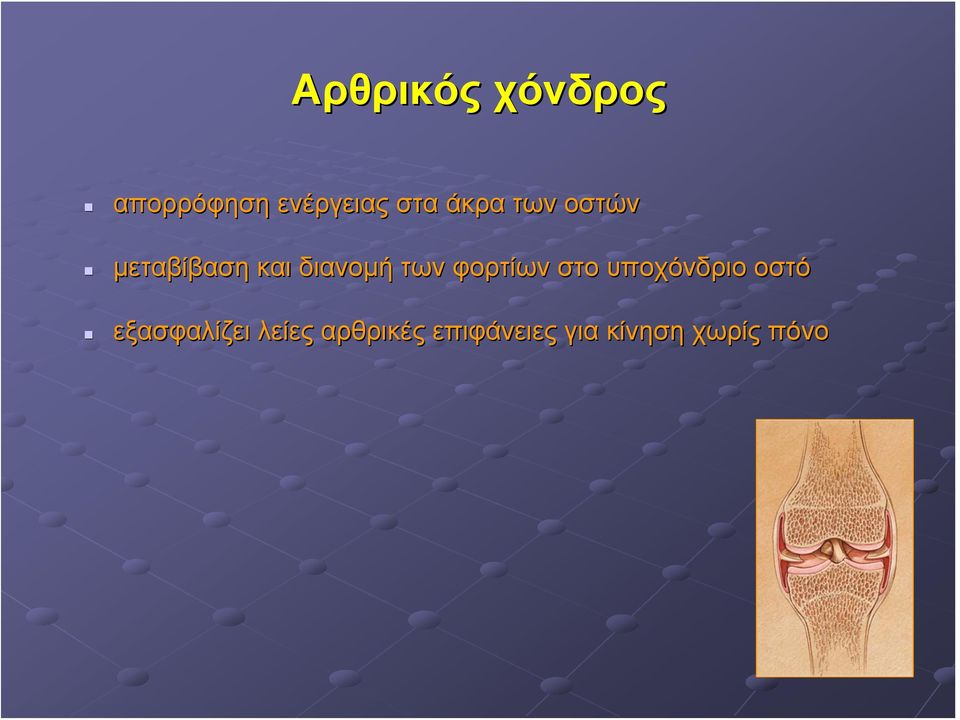 φορτίων στο υποχόνδριο οστό εξασφαλίζει