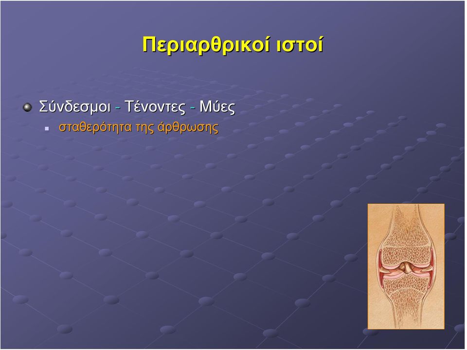 Τένοντες - Μύες