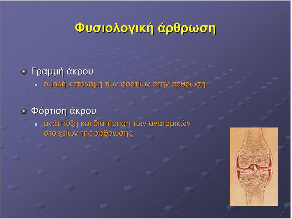άρθρωση Φόρτιση άκρου ανάπτυξη και