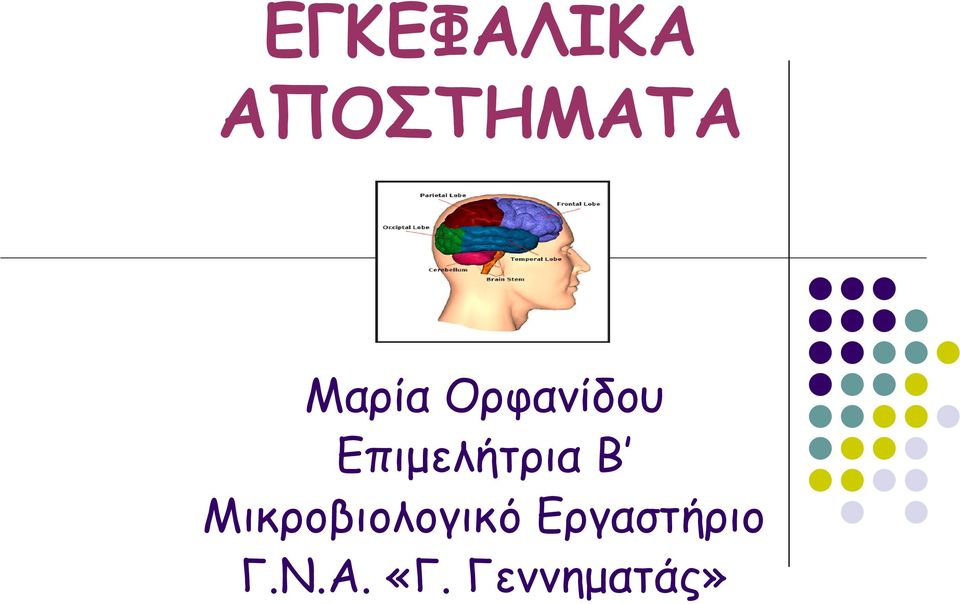 Επιμελήτρια Β