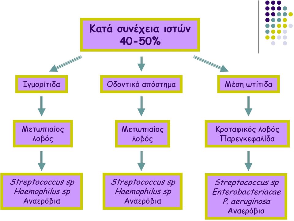 Streptococcus sp Haemophilus sp Αναερόβια Streptococcus sp