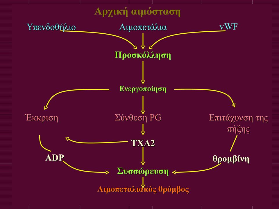 Σύνθεση PG Επιτάχυνση της πήξης TXA2 ADP