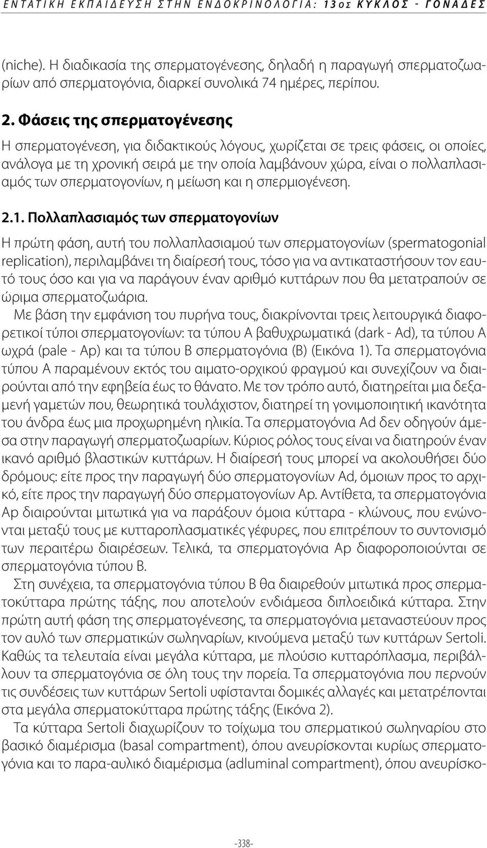 σπερματογονίων, η μείωση και η σπερμιογένεση. 2.1.