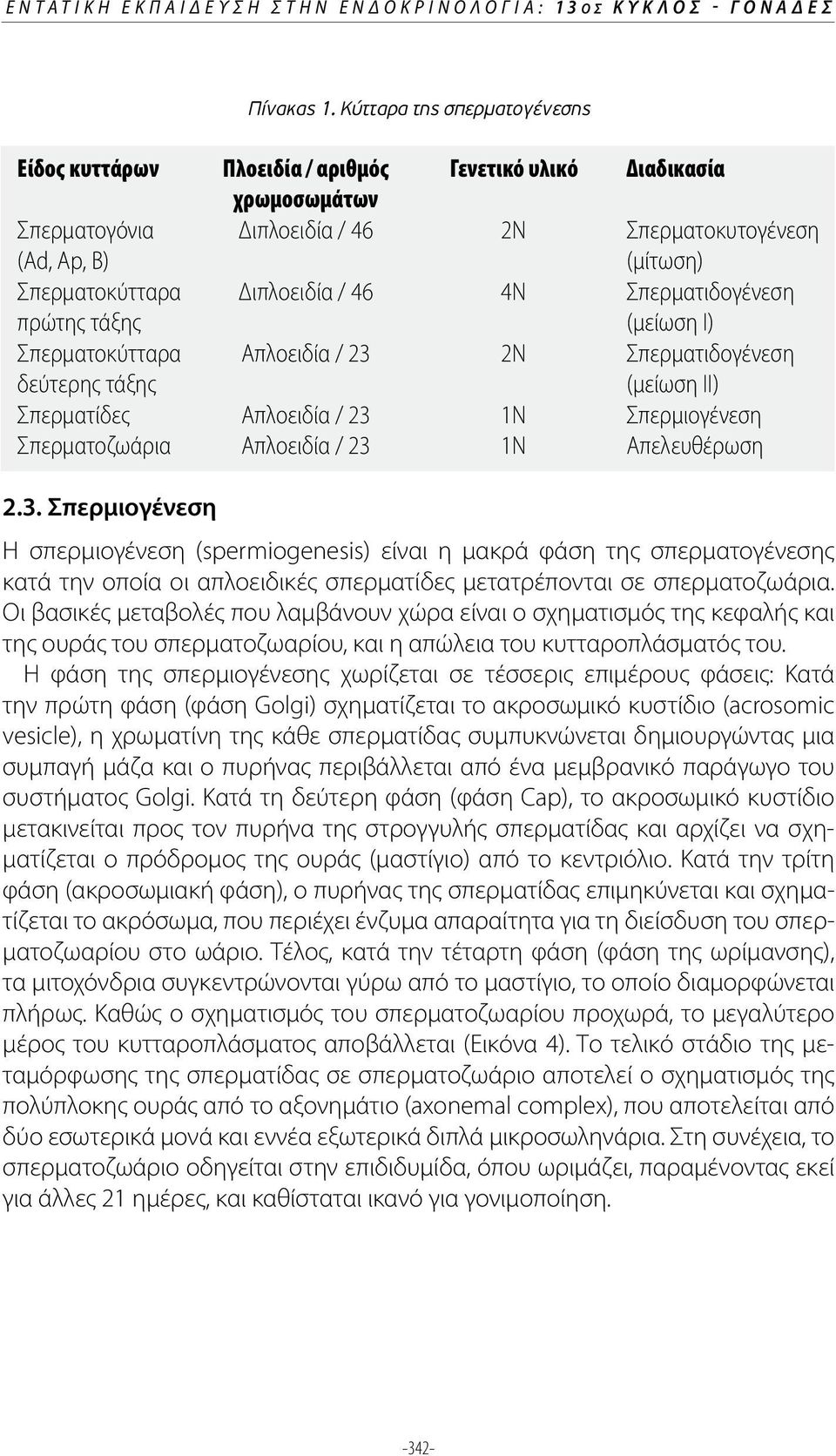 Διπλοειδία / 46 4N Σπερματιδογένεση πρώτης τάξης (μείωση Ι) Σπερματοκύτταρα Απλοειδία / 23 2N Σπερματιδογένεση δεύτερης τάξης (μείωση ΙΙ) Σπερματίδες Απλοειδία / 23 1N Σπερμιογένεση Σπερματοζωάρια