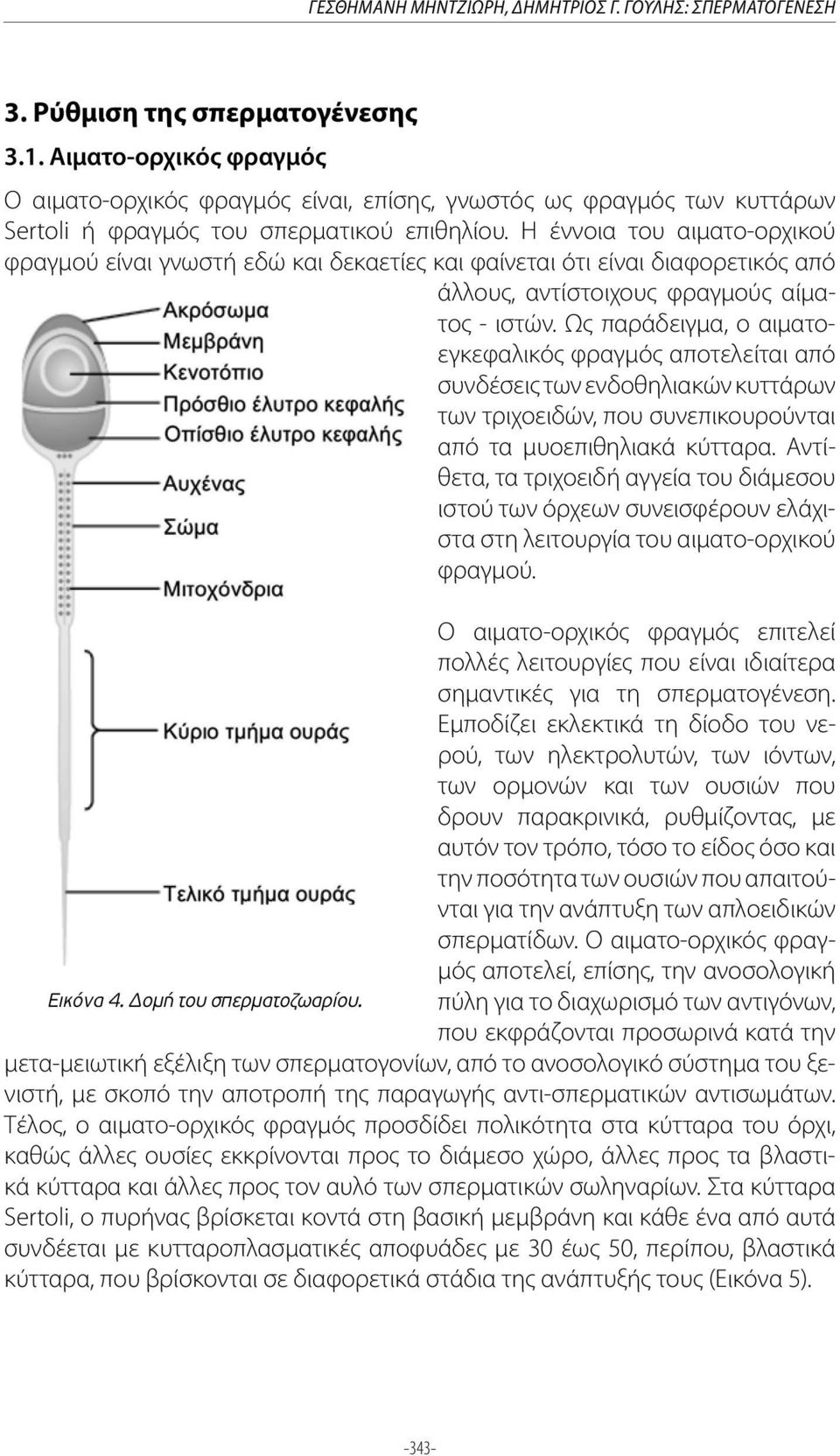 Η έννοια του αιματο-ορχικού φραγμού είναι γνωστή εδώ και δεκαετίες και φαίνεται ότι είναι διαφορετικός από άλλους, αντίστοιχους φραγμούς αίματος - ιστών.