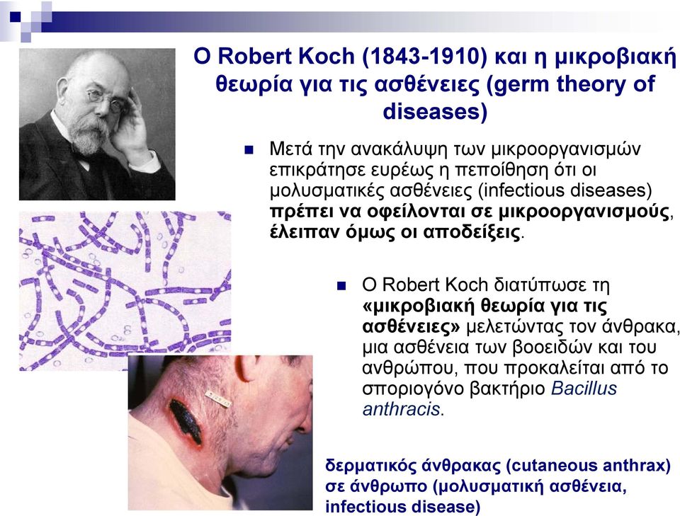 Ο Robert Koch διατύπωσε τη «μικροβιακή θεωρία για τις ασθένειες» μελετώντας τον άνθρακα, μια ασθένεια των βοοειδών και του ανθρώπου, που