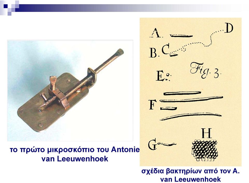 Leeuwenhoek σχέδια