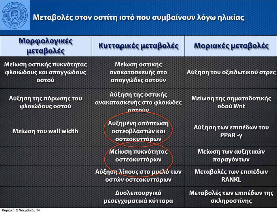 οστεοβλαστών και οστεοκυττάρων Μείωση πυκνότητας οστεοκυττάρων Αύξηση λίπους στο μυελό των οστών οστεοκυττάρων Δυσλειτουργικά μεσεγχυματικά κύτταρα Μοριακές μεταβολές Αύξηση