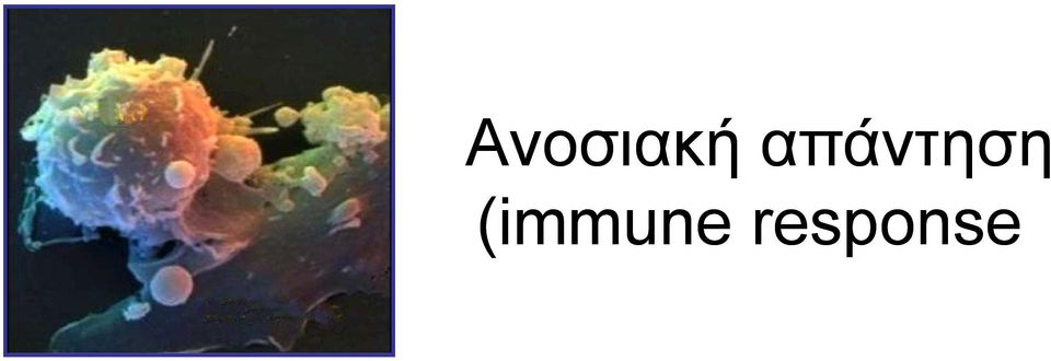 (immune