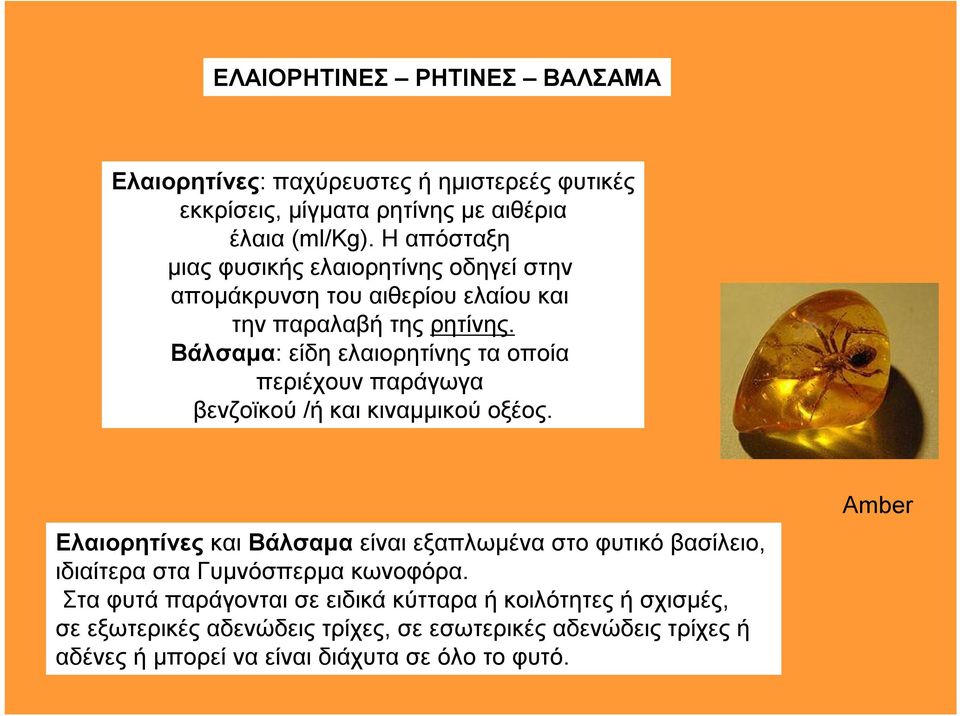 Βάλσαμα: είδη ελαιορητίνης τα οποία περιέχουν παράγωγα βενζοϊκού /ή και κιναμμικού οξέος.