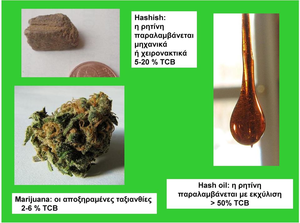 αποξηραμένες ταξιανθίες 2-6 %TCB Hash
