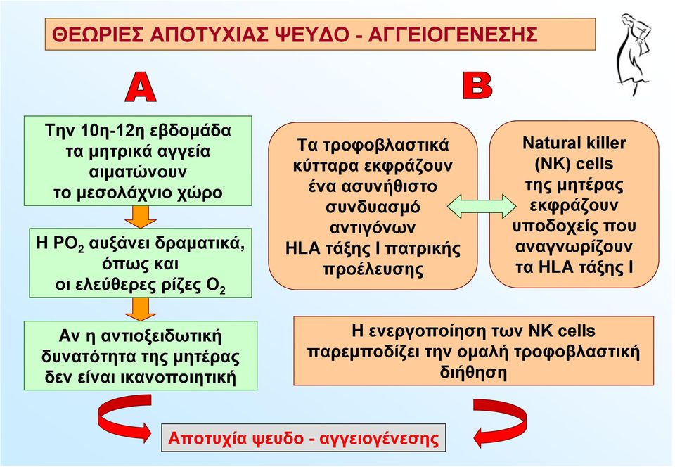 Ιπατρικής προέλευσης Νatural killer (NK) cells της μητέρας εκφράζουν υποδοχείς που αναγνωρίζουν τα HLA τάξης Ι Αν ηαντιοξειδωτική