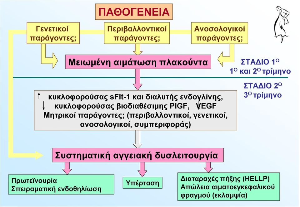 (περιβαλλοντικοί, γενετικοί, ανοσολογικοί, συμπεριφοράς) ΣΤΑΔΙΟ 1 Ο 1 Ο και 2 Ο τρίμηνο ΣΤΑΔΙΟ 2 Ο 3 Ο τρίμηνο